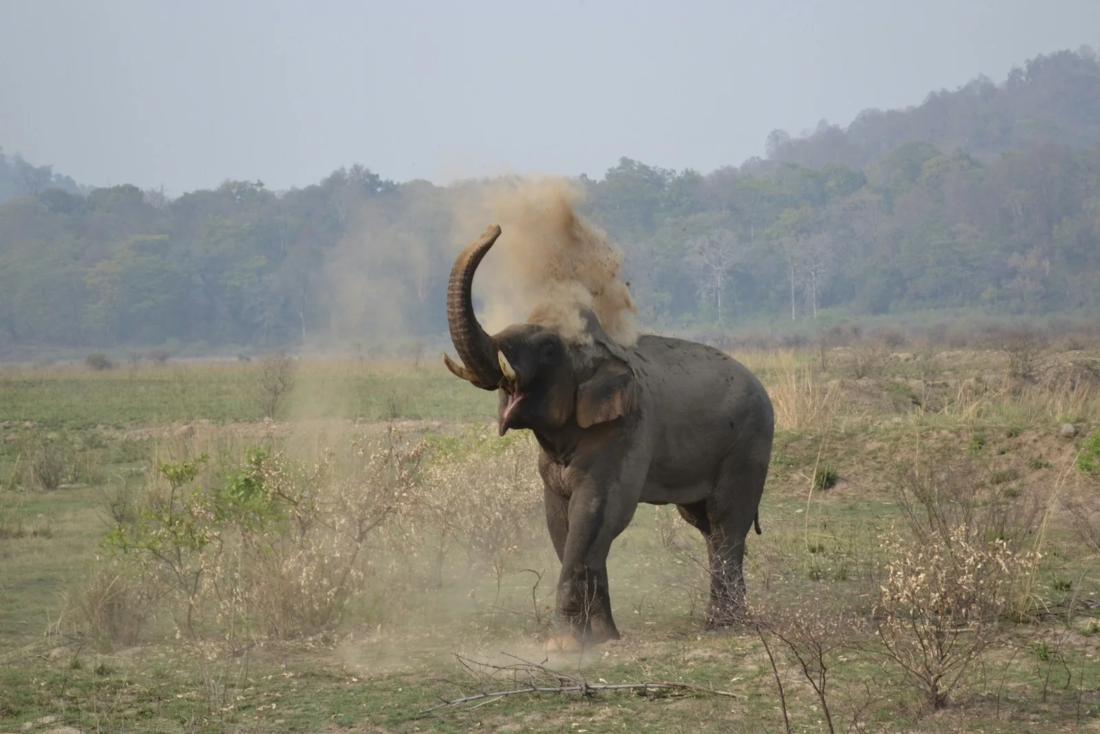 Jim Corbett — wedding and destination inspiration